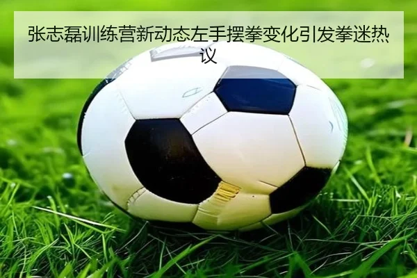 张志磊训练营新动态左手摆拳变化引发拳迷热议 - QiusuSports